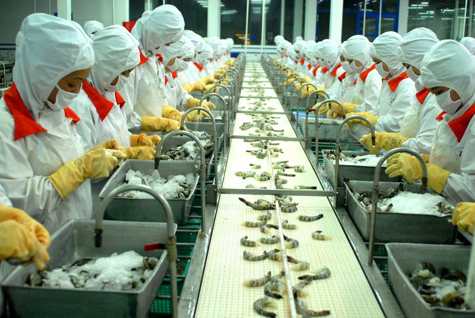 KẾ HOẠCH ĐƠN HÀNG TTS NHẬT BẢN – TUYỂN THÁNG 6- NĂM 2021