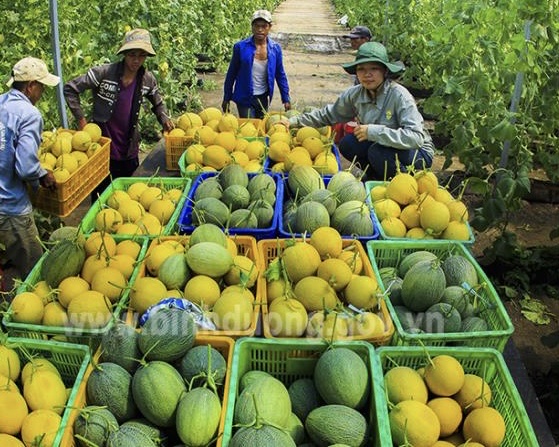 Đơn Nông nghiệp tuyển tháng 3 và tháng 4-2023