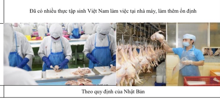 THÔNG BÁO TUYỂN THỰC TẬP SINH ĐƠN HÀNG THỰC PHẨM THANG 4 – 2023 HOKAIDO
