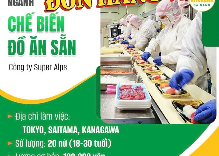 ĐƠN HÀNG TỐT NHẤT CHO KỸ SƯ VSF TT SINH TẠI NHẬT BẢN